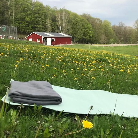 Stenlid - Med Naturen Och Lugnet I Fokus Veddige Luaran gambar
