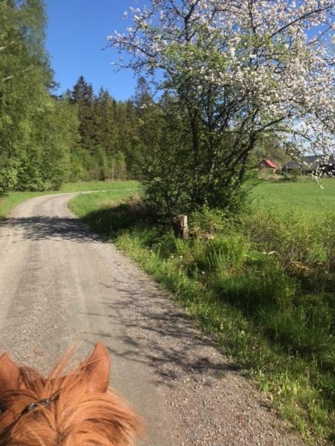 Stenlid - Med Naturen Och Lugnet I Fokus Veddige Luaran gambar