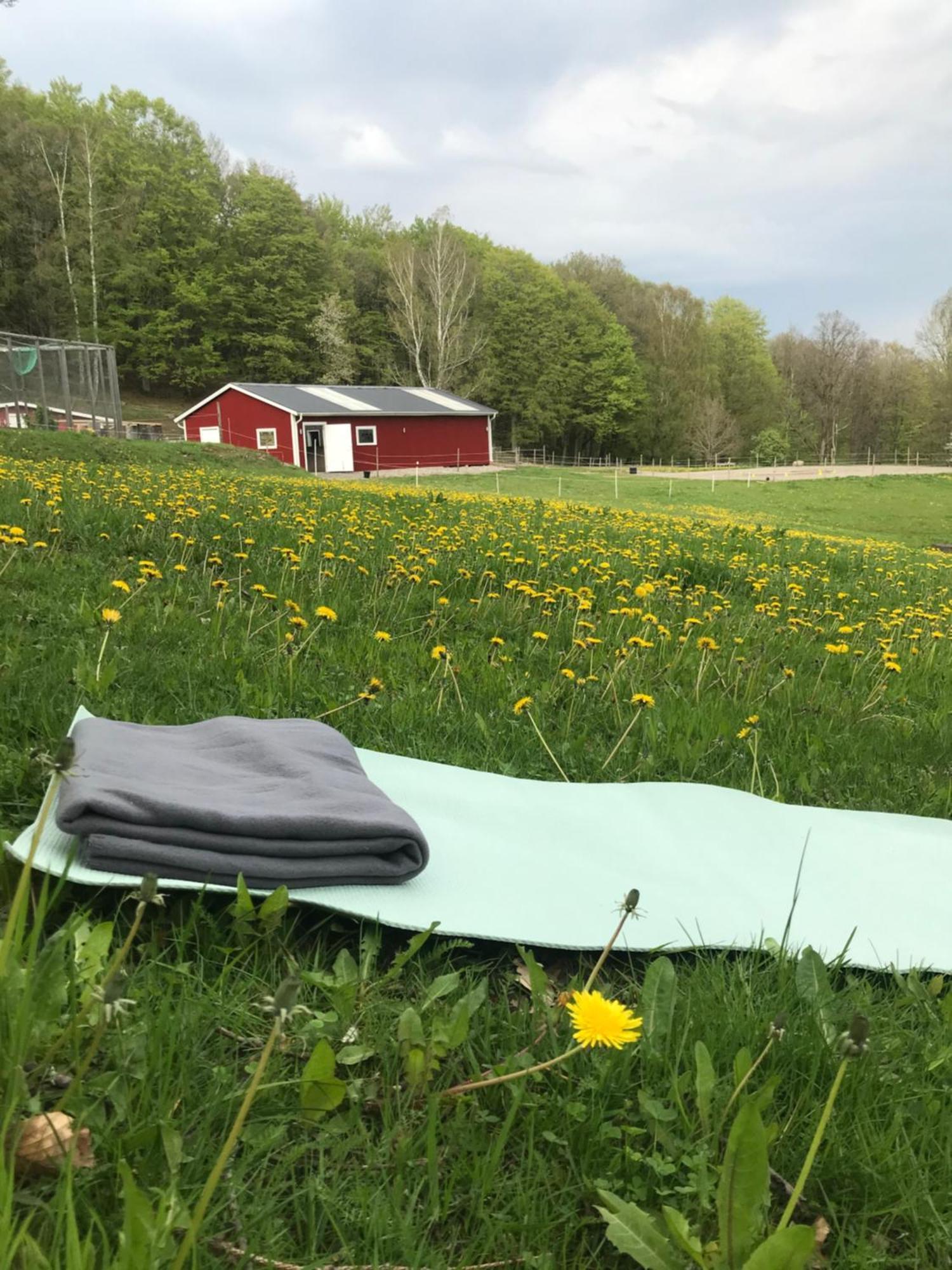 Stenlid - Med Naturen Och Lugnet I Fokus Veddige Luaran gambar
