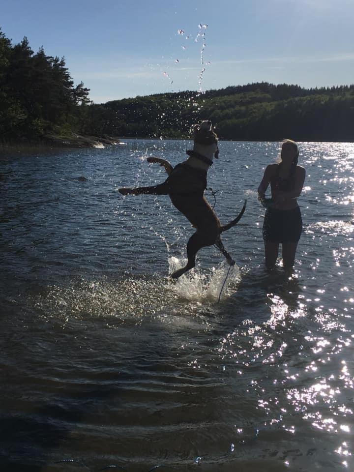 Stenlid - Med Naturen Och Lugnet I Fokus Veddige Bilik gambar